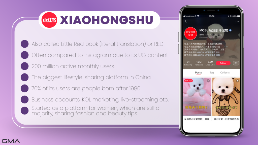 Xiaohongshu marketing: Little Red Book app info